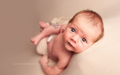 Newborn Photos 2020