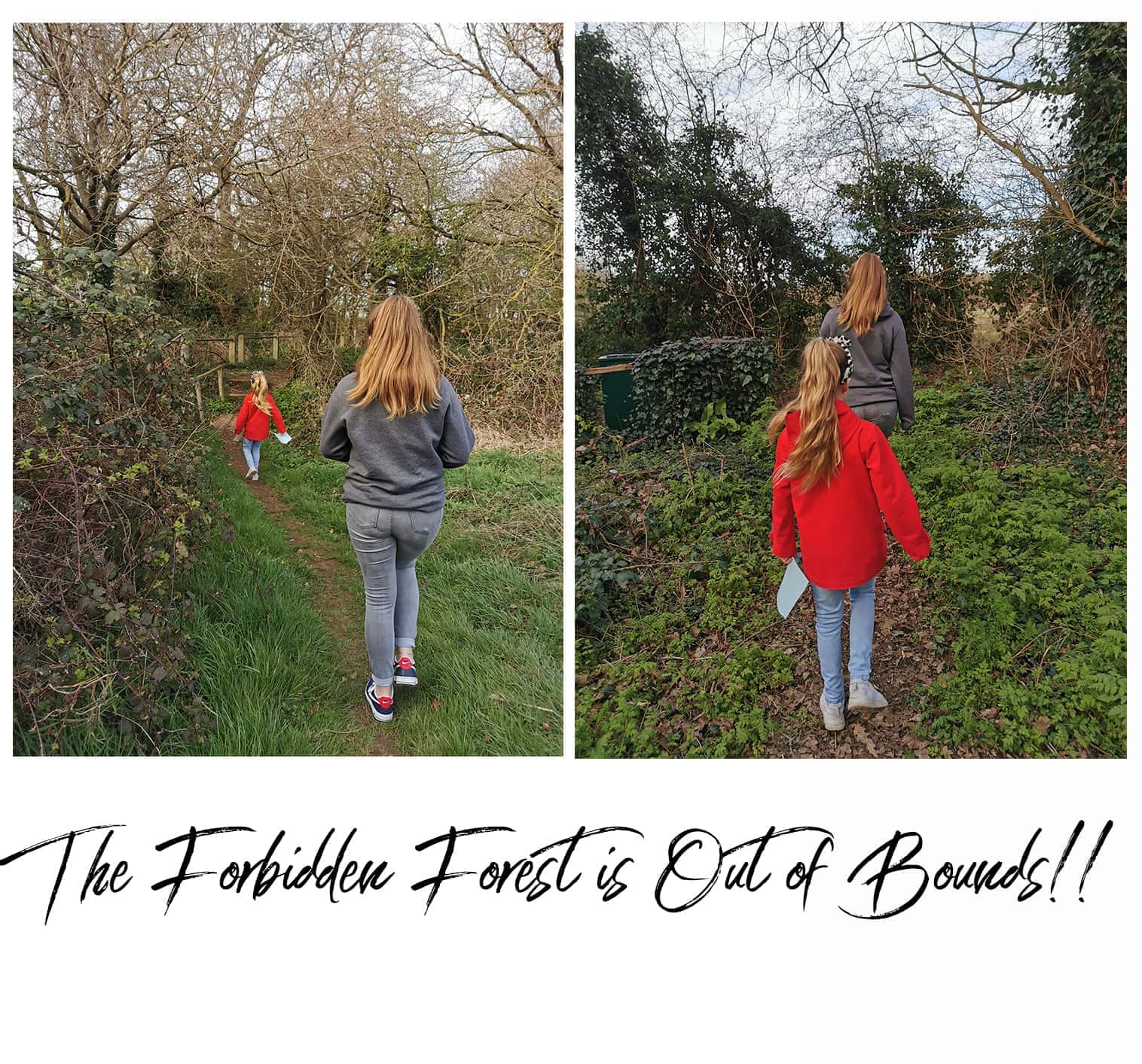 Scavenger hunt, Harry potter inspired, Forbidden forest inspired, woodland walk, st pauls cray, things to do with the kids, ashleigh shea photography